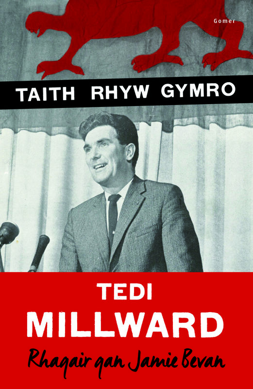 A picture of 'Taith Rhyw Gymro' by E. G. Millward